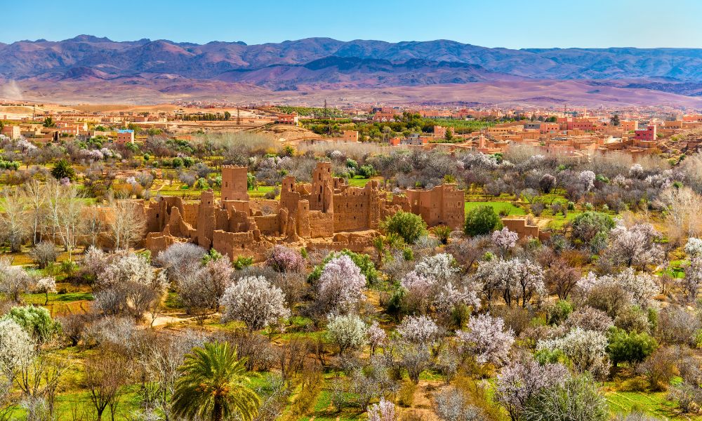 Explore Meskouk - Dessert Tour from Marrakech (1)